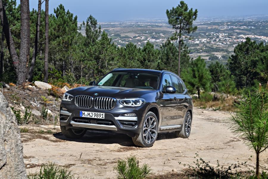  BMW X3 xDrive30d xLine (G01) 2017 года  (WW) (фото 109 из 178)